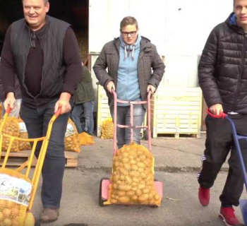 Kartoffelfest in Morsum auf Hoffmanns Bauernhof