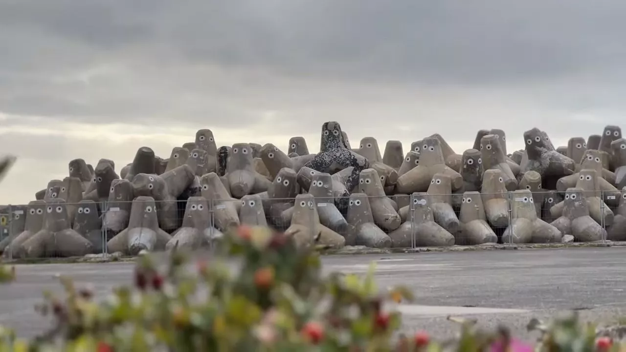 Warum man sich auf Sylt zurzeit beobachtet fühlt 