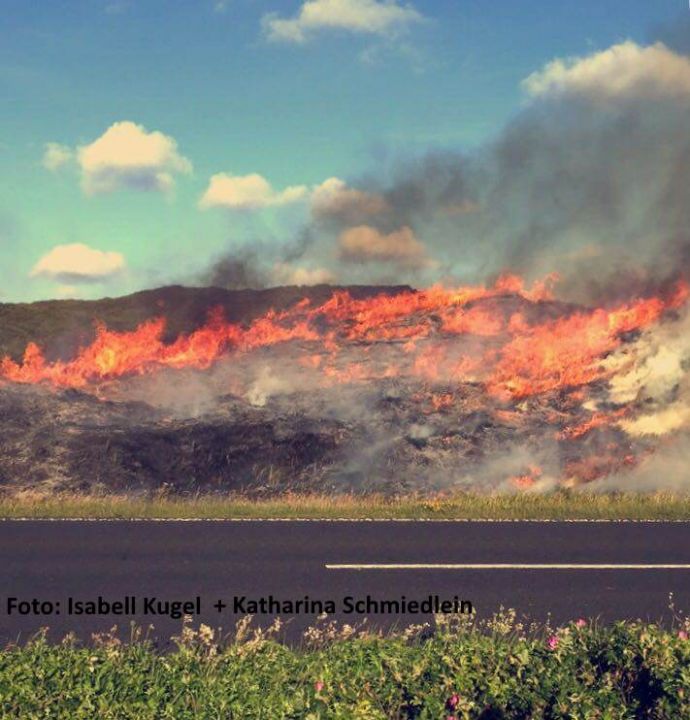 Auf Sylt brannte heute eine Heidefläche in der Nähe vom K4 lichterloh
