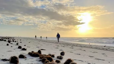 Traumhaftes Sylt Wetter am langen Fronleichnam Wochenende