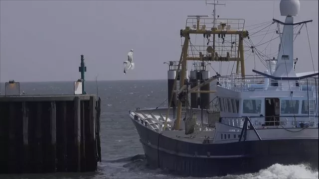 Start der Miesmuschelsaison in Hörnum