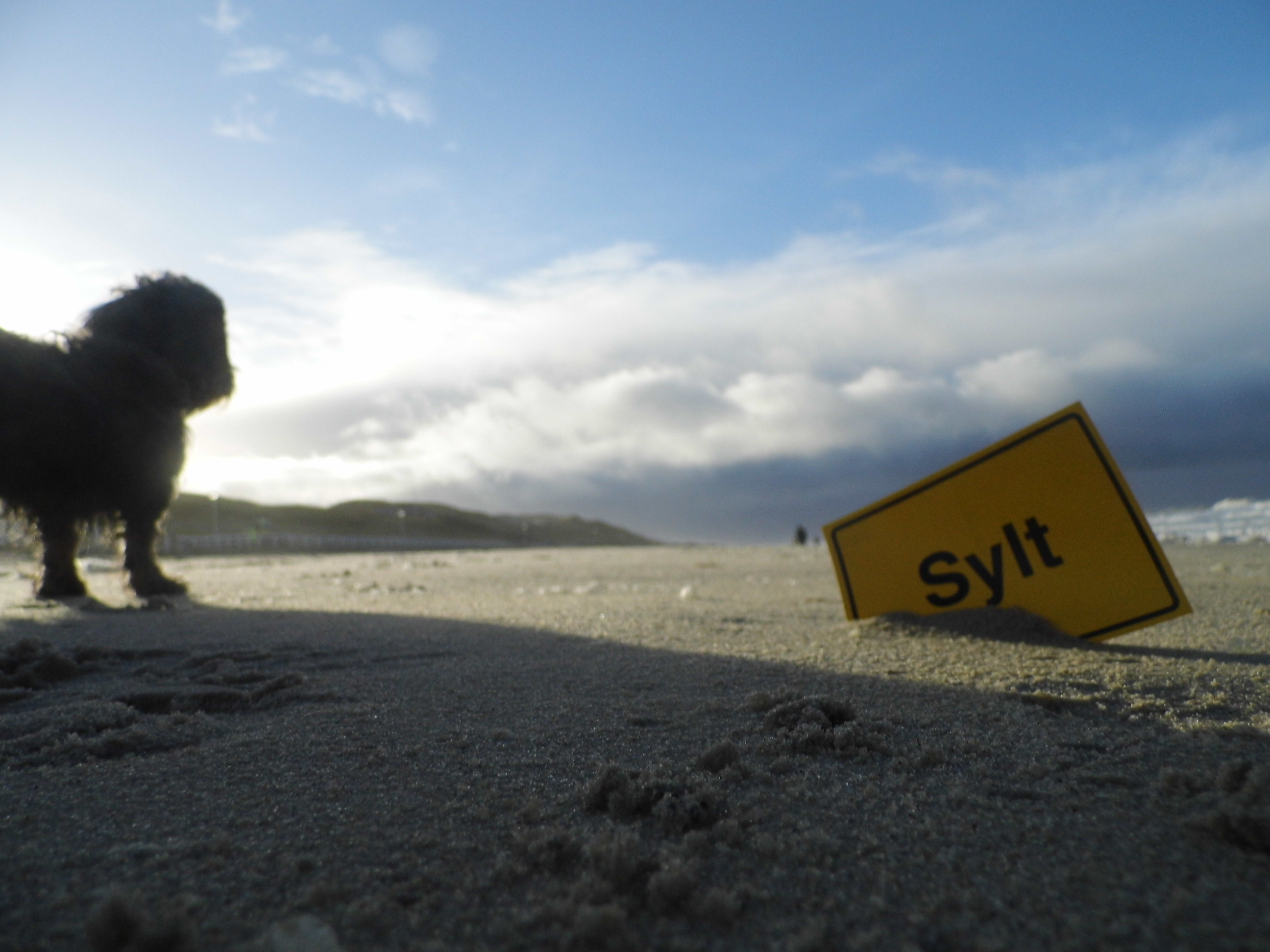 Winterurlaub auf Sylt