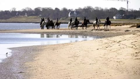 Reiten auf Sylt – Infos, Tipps und Streckenhinweise