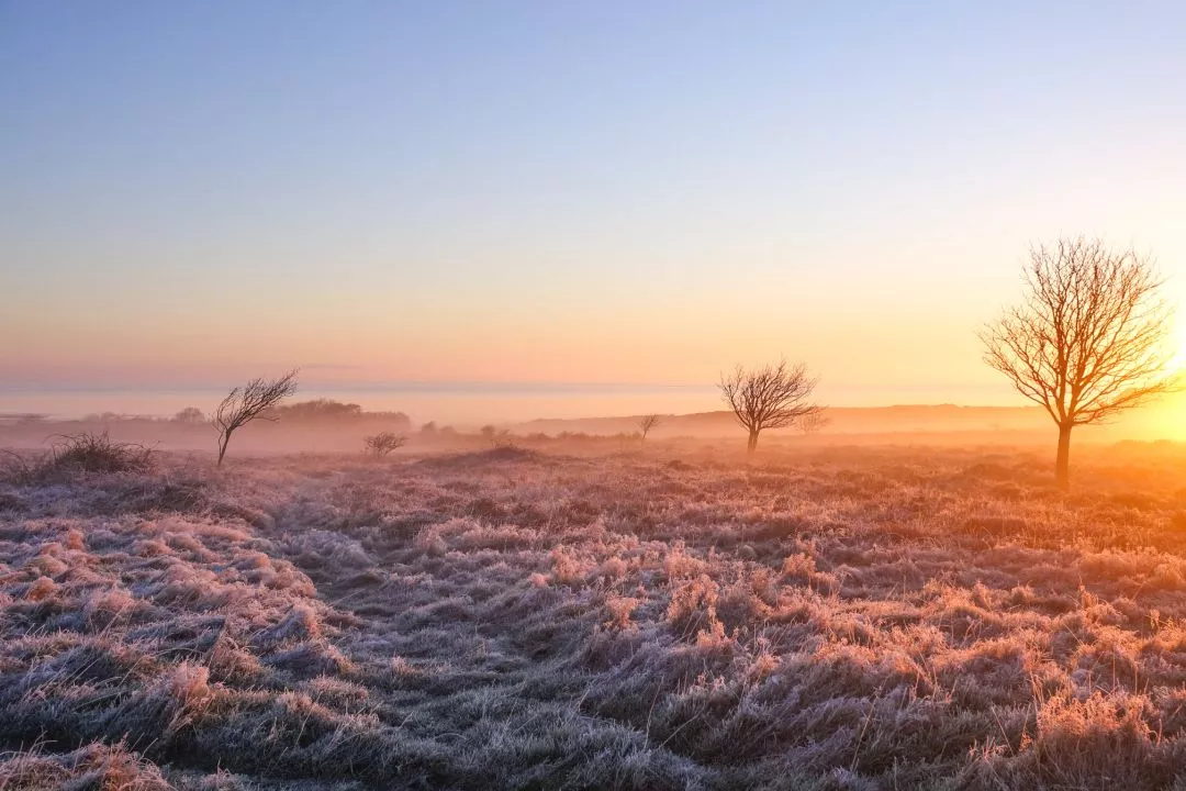 Wandern in und um Kampen auf Sylt - Nicht nur im Herbst ein Naturerlebnis