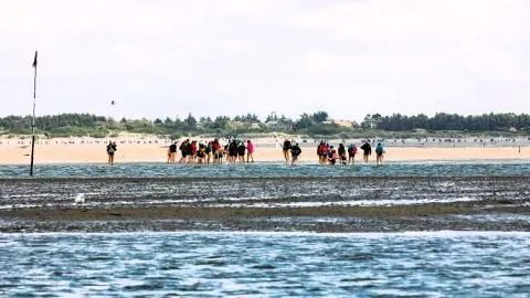 Wattwanderungen auf Sylt: Ein unvergessliches Naturerlebnis