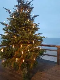 Sylter Weihnachtsbaum am Meer
