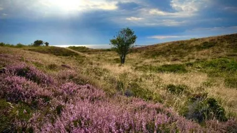 27. und 28. Mai 2024 die Vorhersage des Wetters auf Sylt