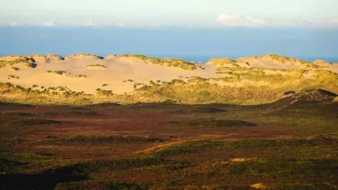 Vorhersage Wetter auf Sylt für den 25. und 26. Mai 2024